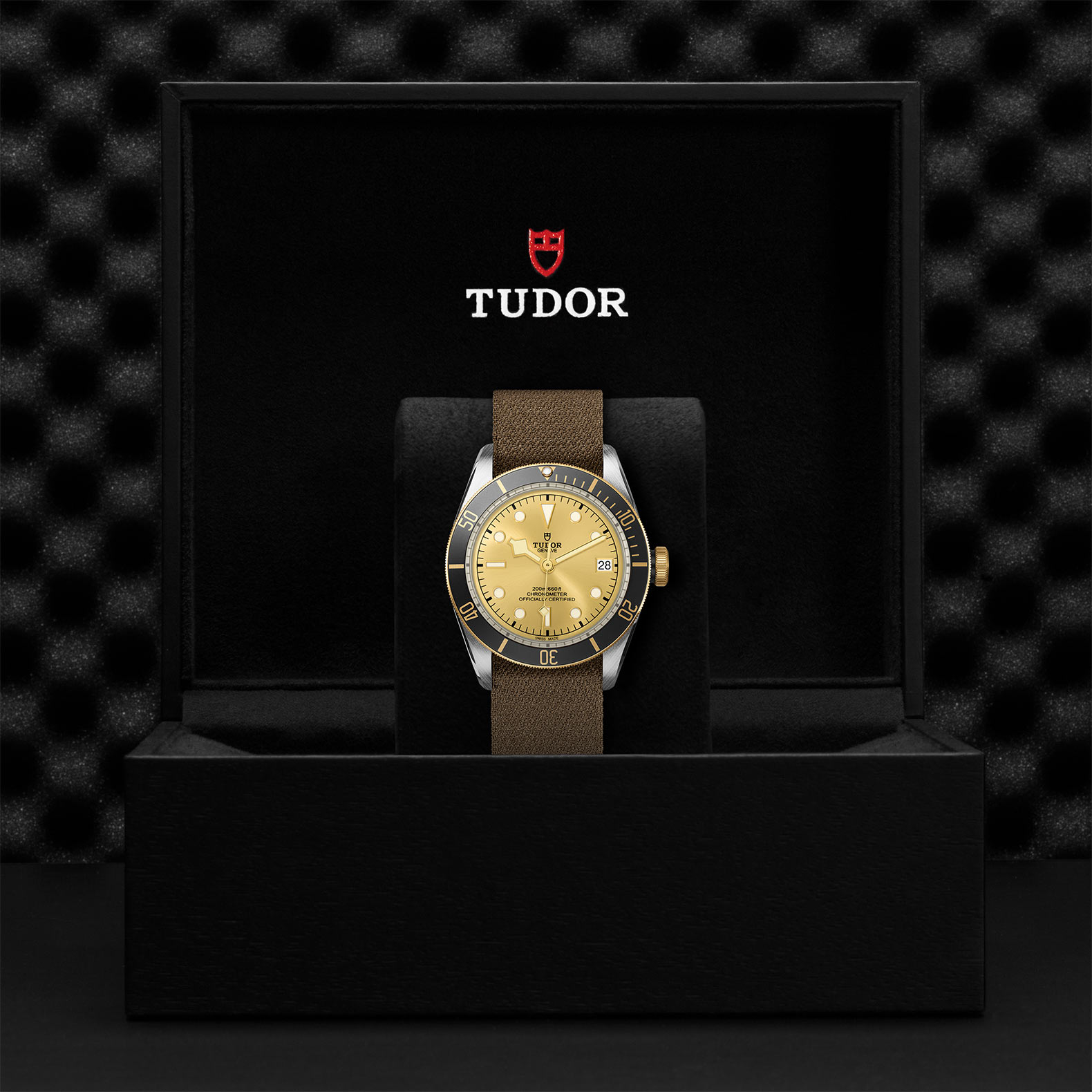 TUDOR Black Bay Watch - M79733N-0006 at Sheiban Jewelers