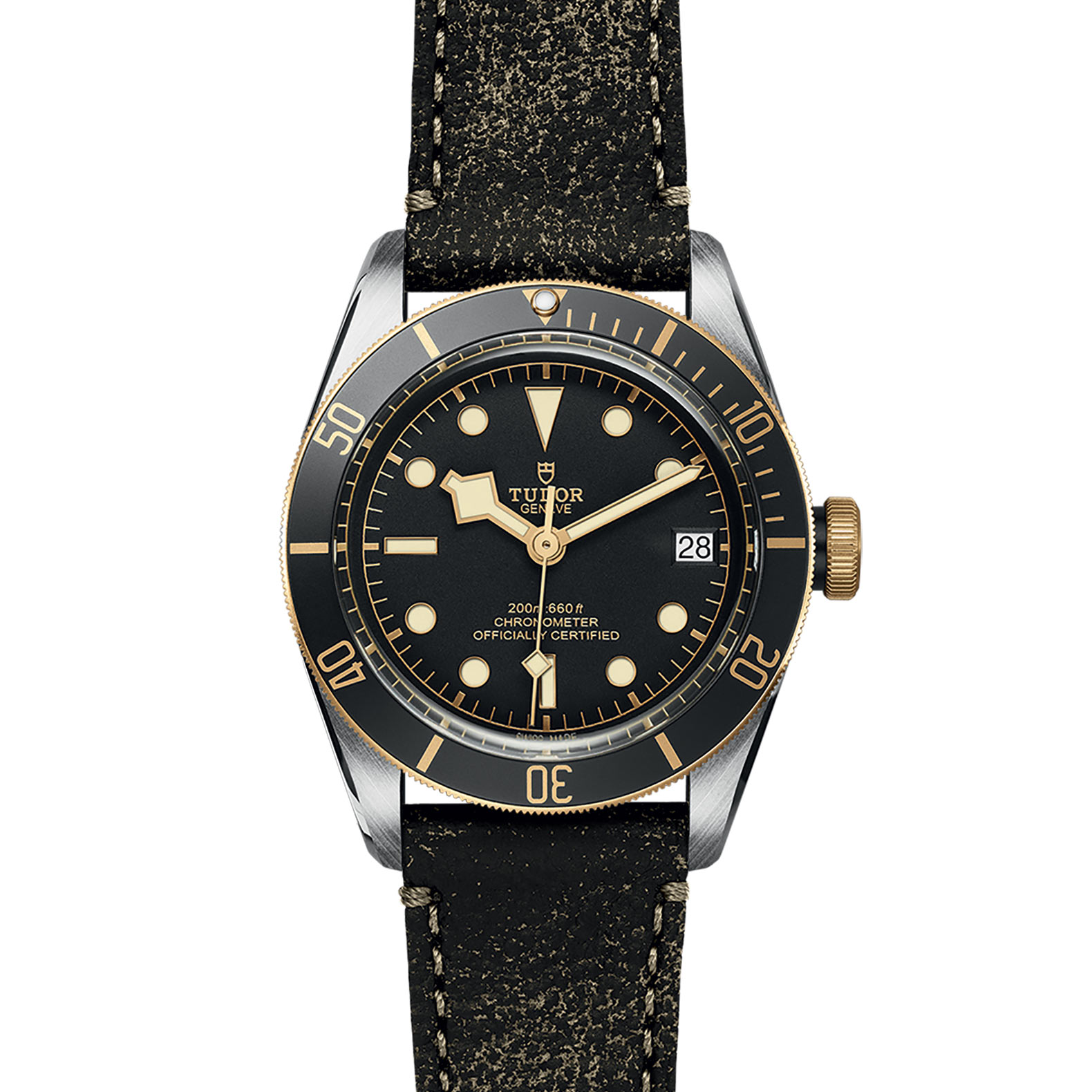 TUDOR Black Bay Watch - M79733N-0007 at Sheiban Jewelers