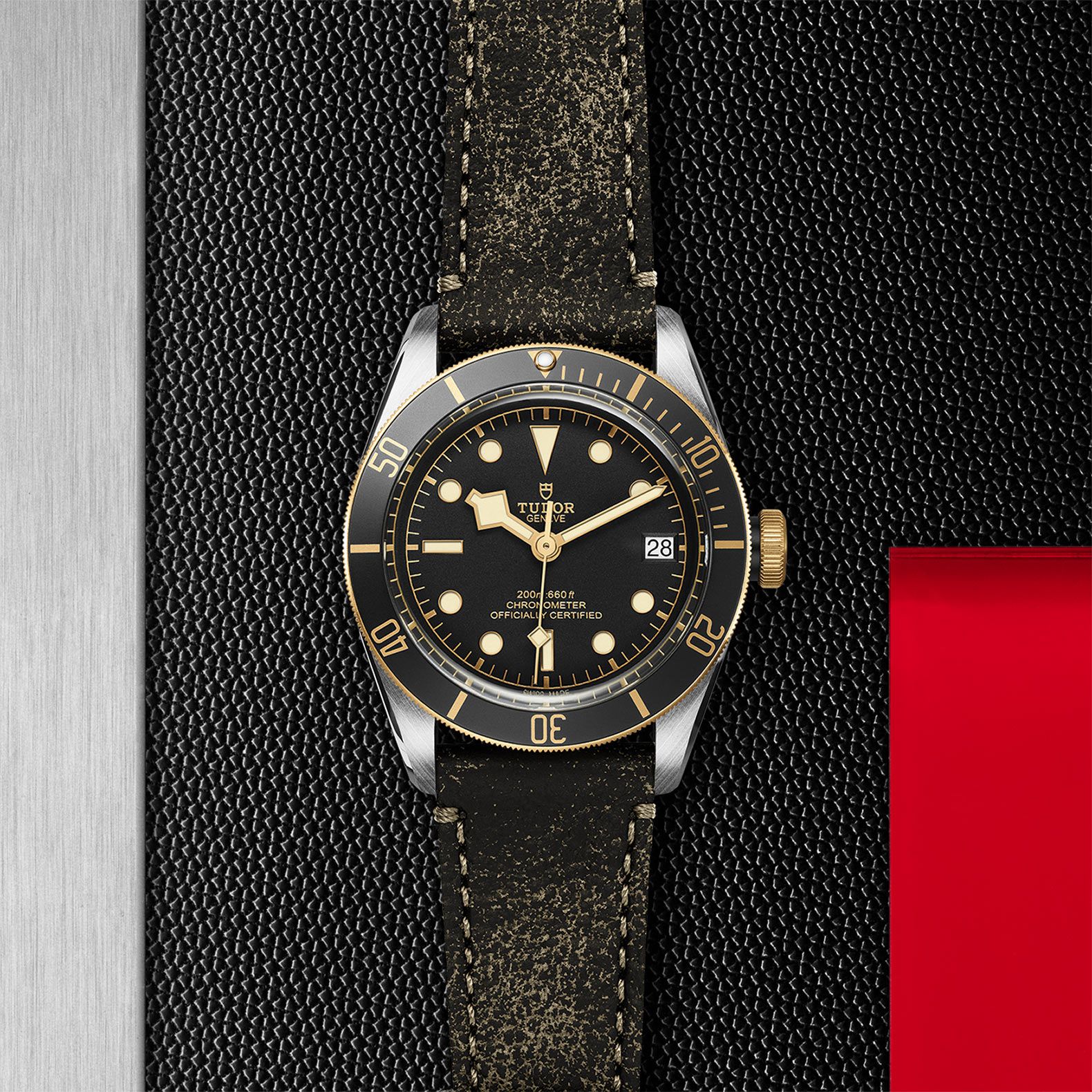 TUDOR Black Bay Watch - M79733N-0007 at Sheiban Jewelers