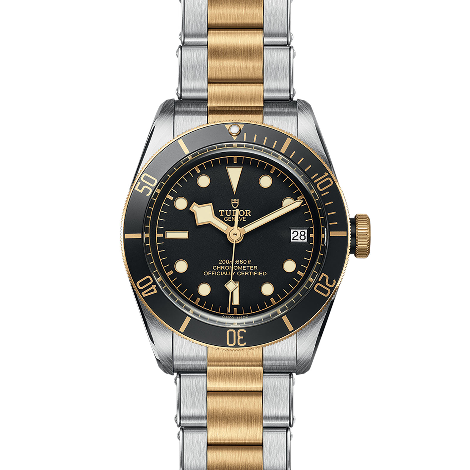 TUDOR Black Bay Watch - M79733N-0008 at Sheiban Jewelers