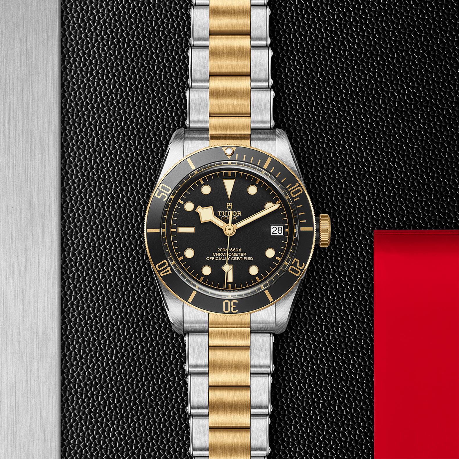 TUDOR Black Bay Watch - M79733N-0008 at Sheiban Jewelers