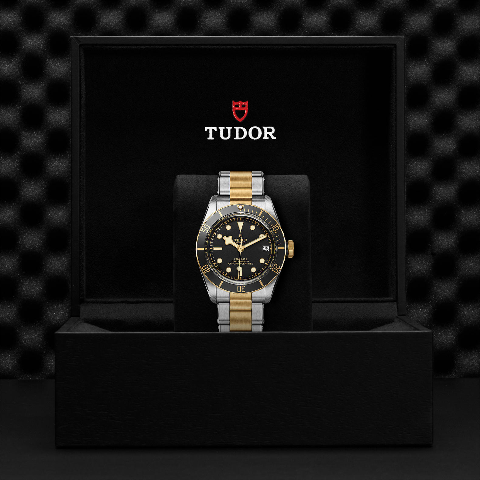 TUDOR Black Bay Watch - M79733N-0008 at Sheiban Jewelers
