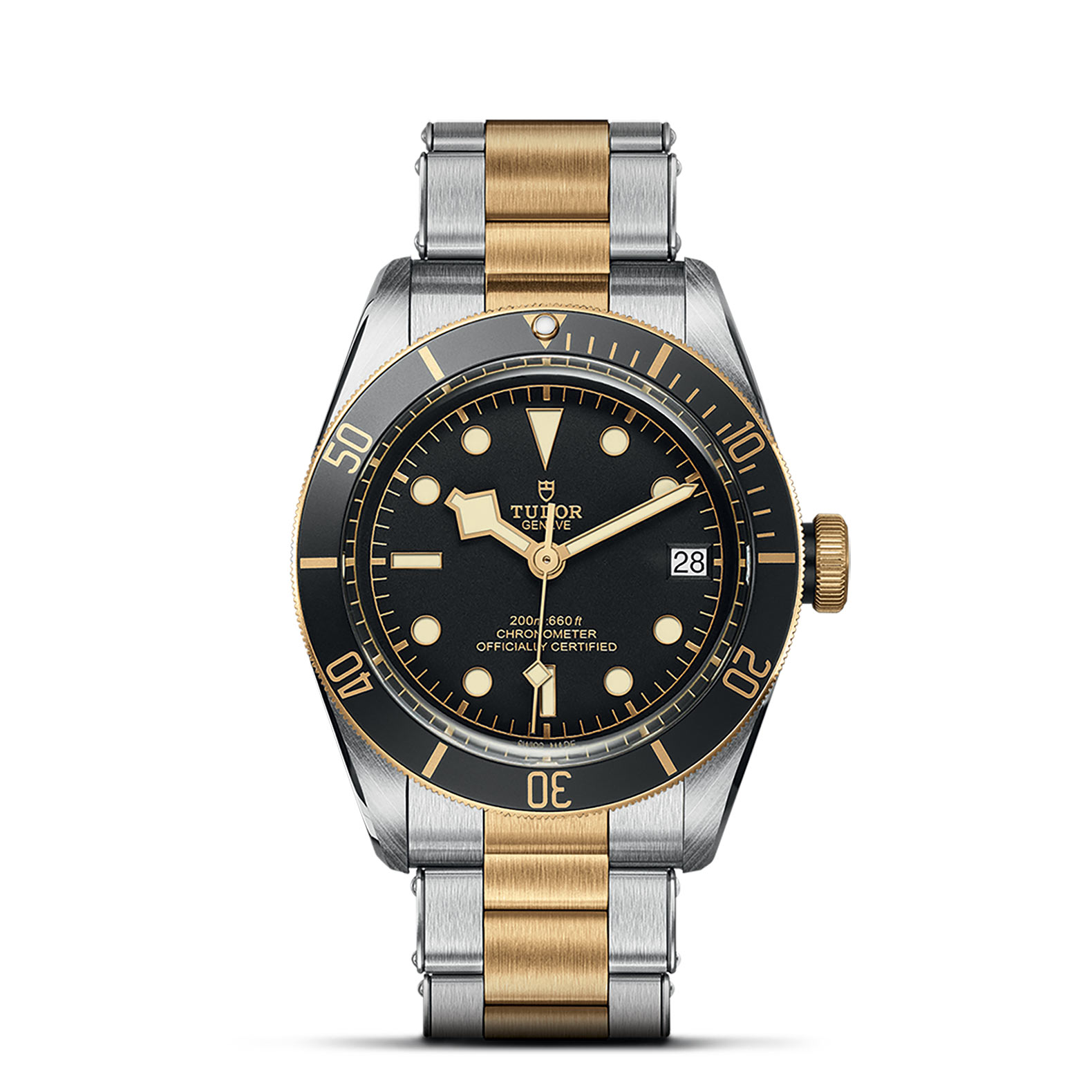 TUDOR Black Bay Watch - M79733N-0008 at Sheiban Jewelers
