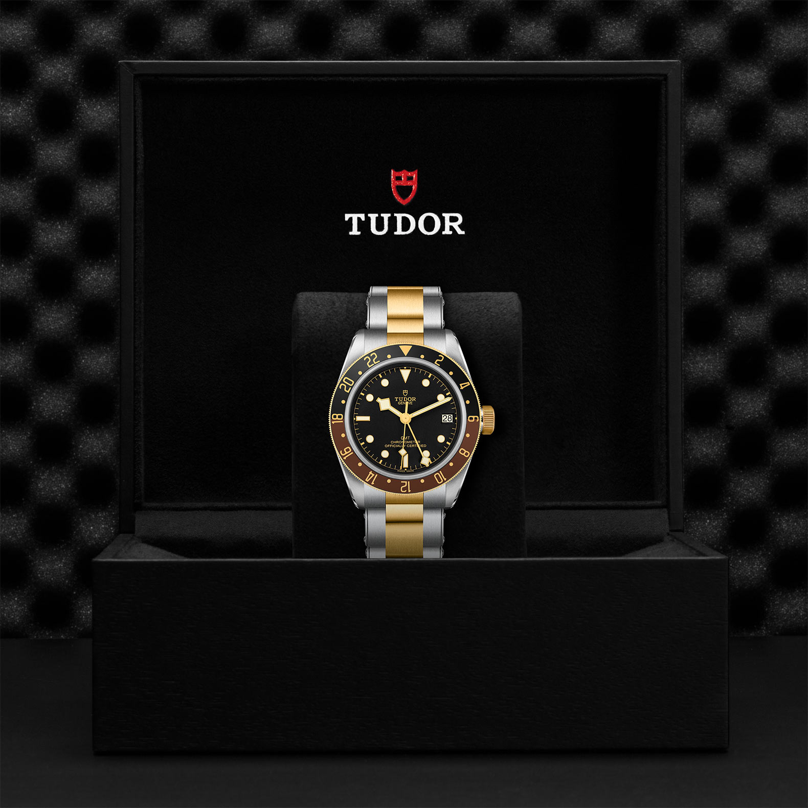 TUDOR Black Bay GMT Watch - M79833MN-0001 at Sheiban Jewelers