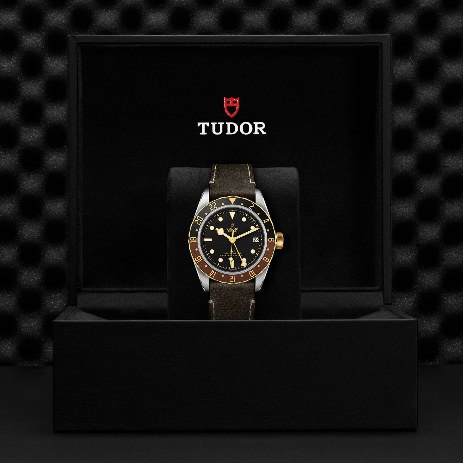 TUDOR Black Bay GMT Watch - M79833MN-0003 at Sheiban Jewelers
