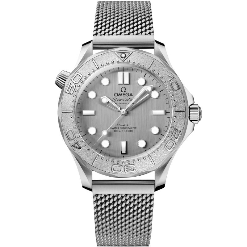 210.30.42.20.06.002 Seamaster Diver 300m In 42mm Men's Watch