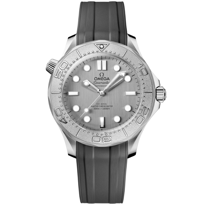 210.32.42.20.06.002 Seamaster Diver 300m In 42mm Men's Watch