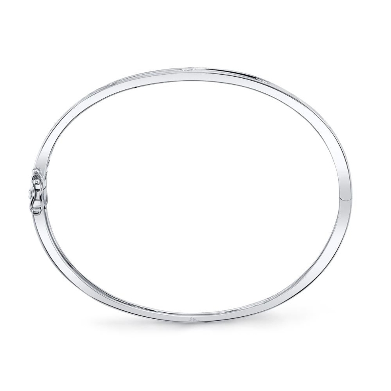 SC55004066ZS-3